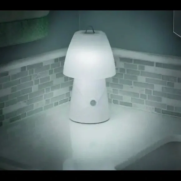 •LED Night Lamp