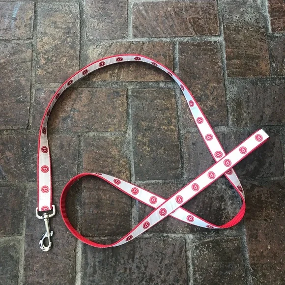 Pure Barre Dog Leash LARGE