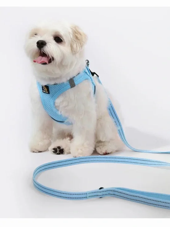 🫶🏻 Bella & Pal Oxymesh Light Blue Dog Harness and Leash Set
