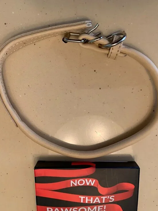 COLLAR DIRECT LEATHER ROLLED COLLAR 16