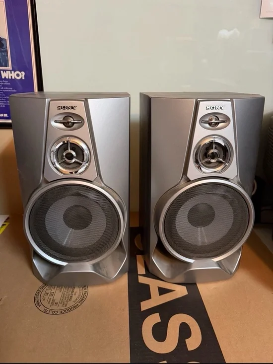 Sony Front Speakers (2x) Model #SS-M500AV