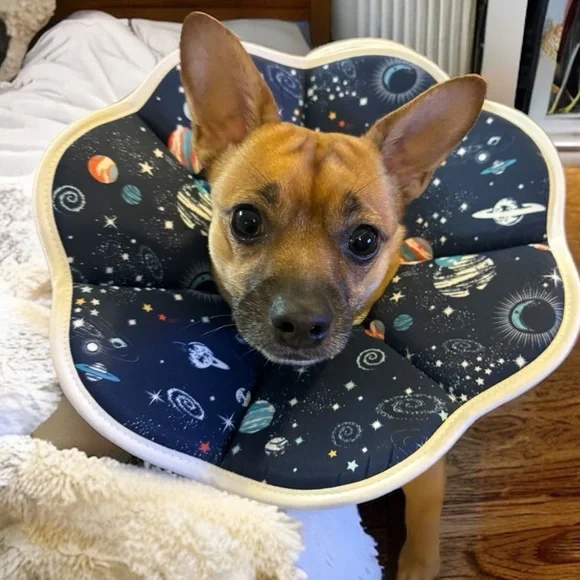 New Elizabethan Soft Dog Collar with Velcro Close - Galactic Design, Small, NWOT