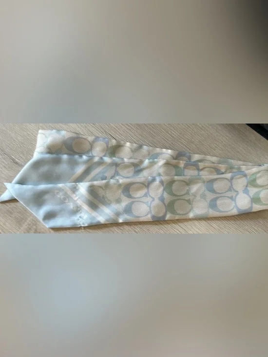 Coach Signature Silk Skinny Scarf