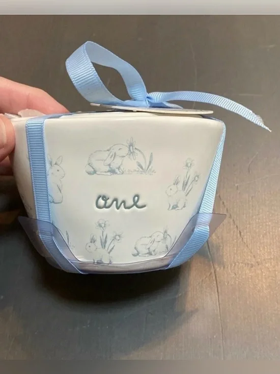 Rae Dunn Peter Rabbit measuring cups Blue & White
