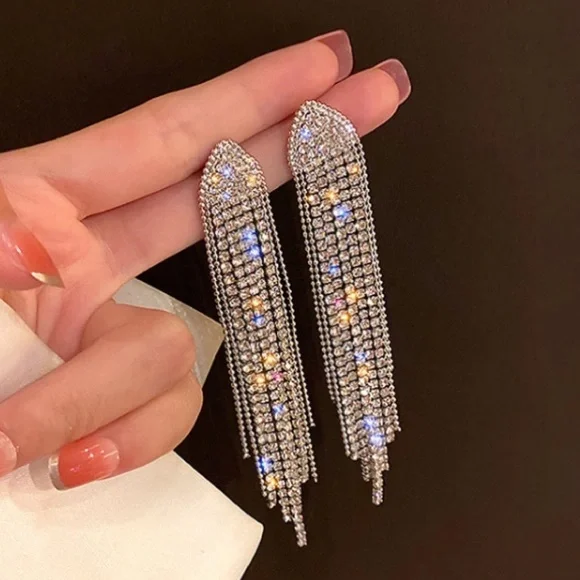 Luxury Rhinestone Silver Earrings