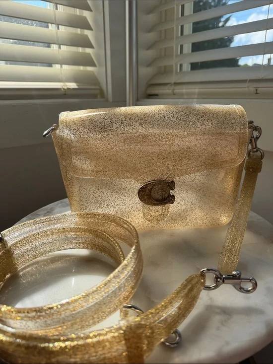NWOT Coach Jelly Tabby Bag