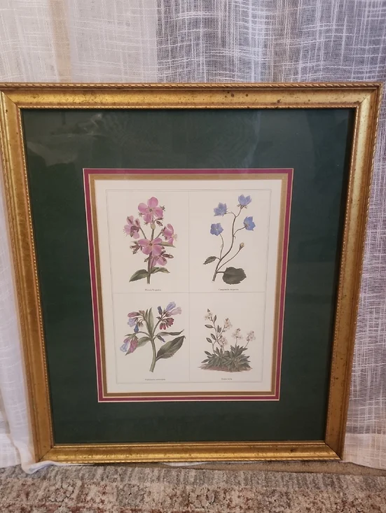 Floral Botanical Wall Art in Green and Gold Wood Frame