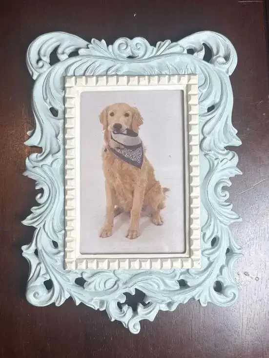 Cynthia Rowley New York Ornate Rococo Pale Blue 4x6 Resin Picture Frame