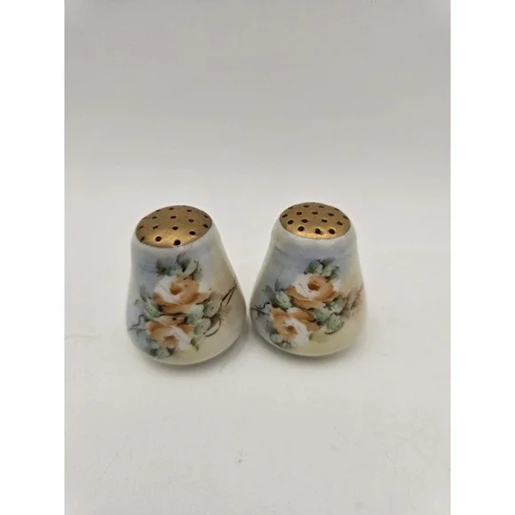 Vintage Porcelain China Salt And pepper Shakers Handpainted Roses Gold Accents