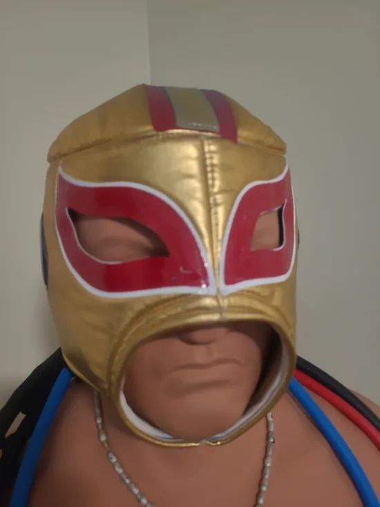 SAN FRANCISCO 49ers WRESTLING-LUCHADOR! GREAT FOR NFL FANS