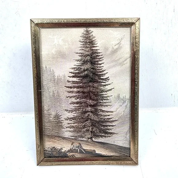 Vintage Brass‎ Embossed Frame Forest Tree Art Print Glass Front 3.75