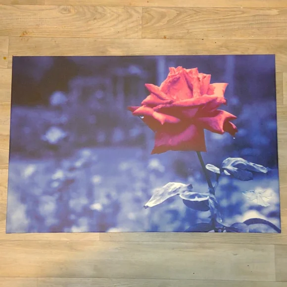 Canvas photography