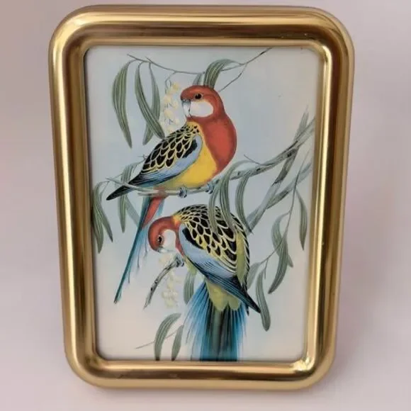 SOLID BRASS Lacquer Coated Picture Frame 3.5x5 Tarnish Resistant Korea Parrot