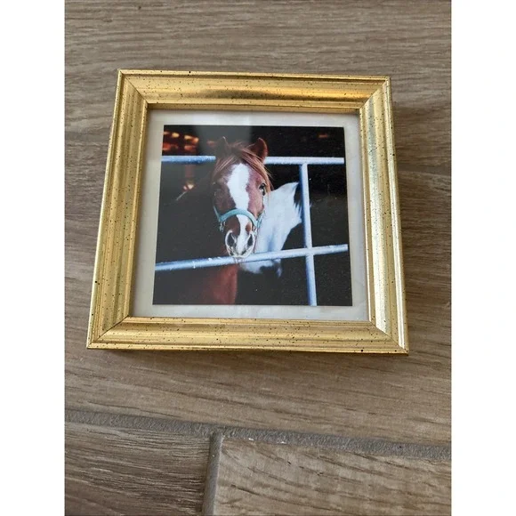 Picture Frame‎ with Horse picture Design 6