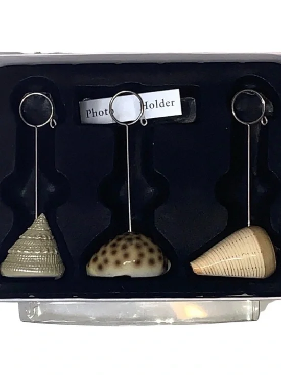 Pier 1 Home Studio Set of 3 Seashell Photo Holders Three Unique Picture Holder