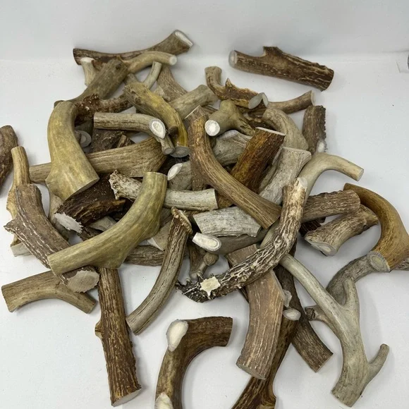 Lot Of 3 Real Large Whitetail Deer Antler Dog Chews For Large Dog