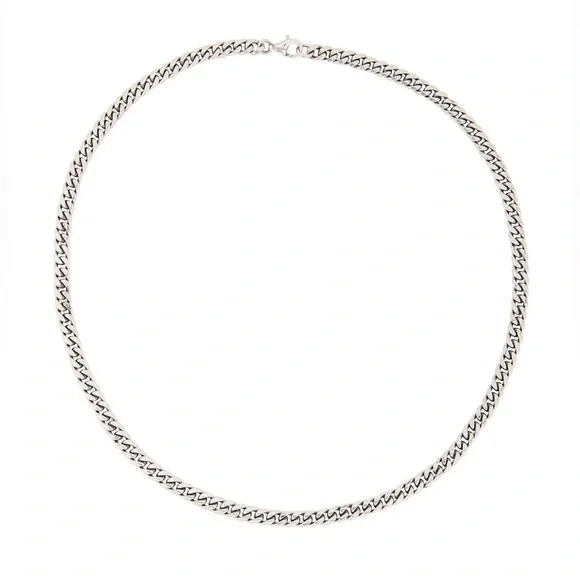 NWOT Serge de Nimes Curb Chain Necklace in Silver