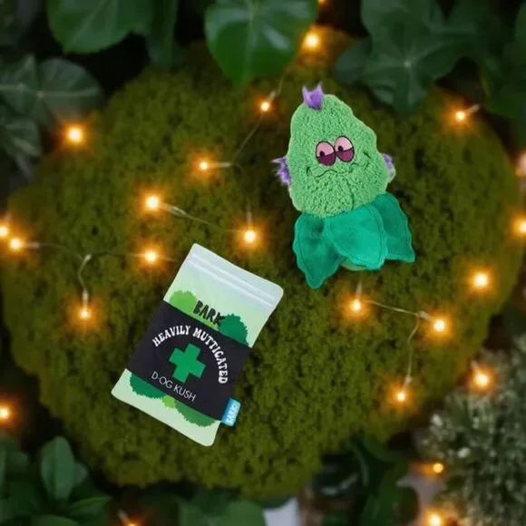 NIP Bark Box 420 Plush Treat Trapper Gina’s Grass Grinder Toy NEW UNOpened