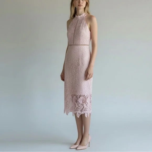 NEW Bardot Soft Pink Willow Floral Lace Dress