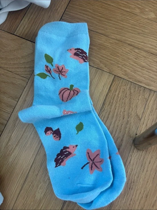 Kids Blue Novelty Socks with Pink Hedgehog & Pumpkin Design