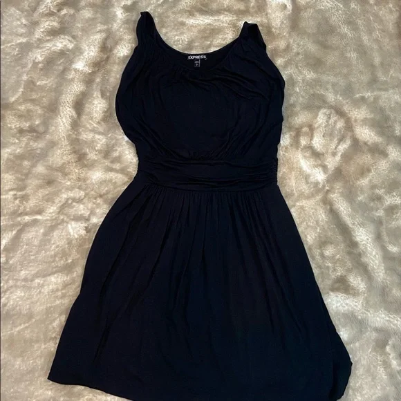 Express Women’s Lined Dress Size Small