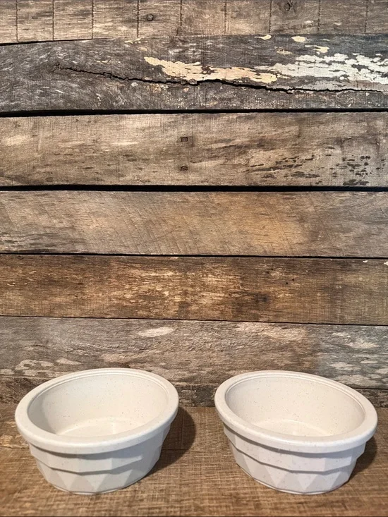 💰BOGO FREE Bundle of 2 Acrylic Dog Pet Food Water Bowls