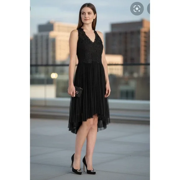 Ted Baker Langley Lace Pleated Midi Dress Black Romantic Elegant Luxe US 10