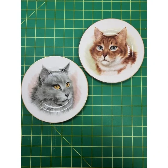 Set of 2 Royal Adderley 6.5