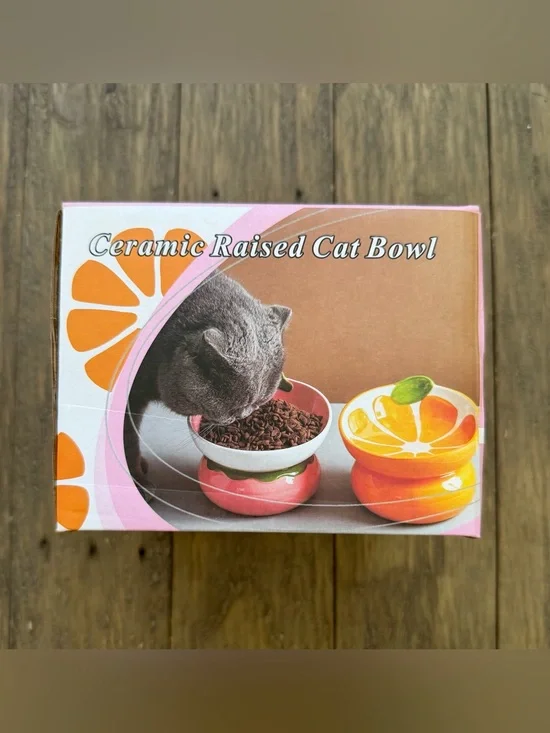 Ceramic Fruit Shaped Raised cat bowl New in box Orange fruit ceramic bowl