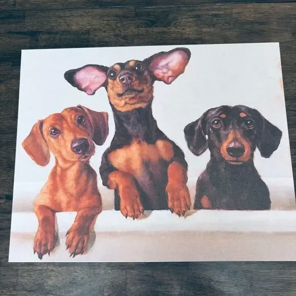 Cute Funny Dachshund Dogs Trio Canvas Wall Art Portrait