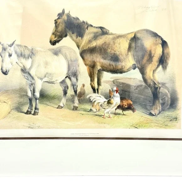 Thomas Sidney Cooper 1839 Ackermann Lithograph Antique Horse Art Print