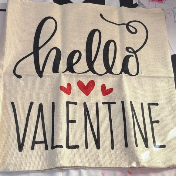 Valentine (4)Livingroom Pillow Cases 17x17  New