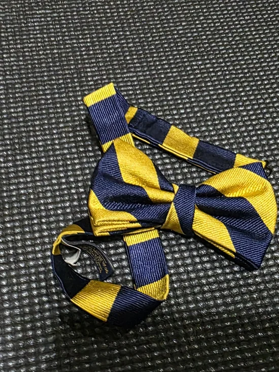 Polo by Ralph Lauren Navy and Yellow Striped Kids Bow Tie