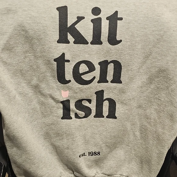 Kittenish Gray Pet Hoodie