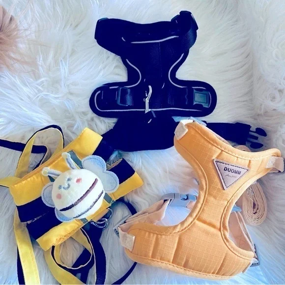 Bundle of Small Dog/Cat Harnesses & Collars