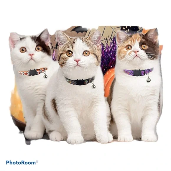 🎃 New!‎ Cute Halloween Cat Collars