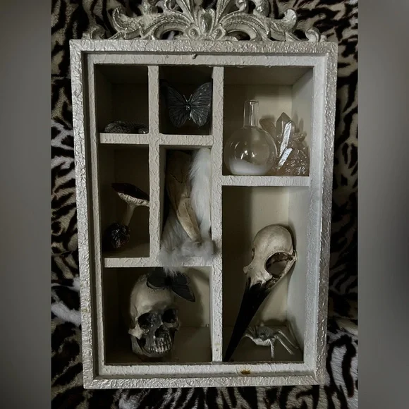 Elegant White Shadow Box with Skulls and Feathers