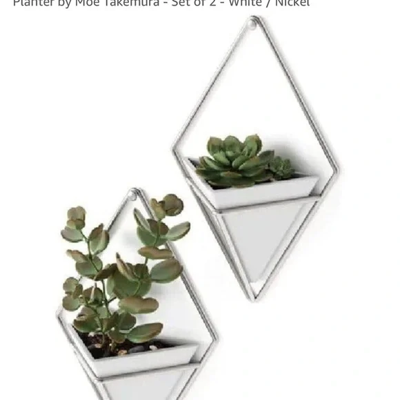 Modern Hanging planters