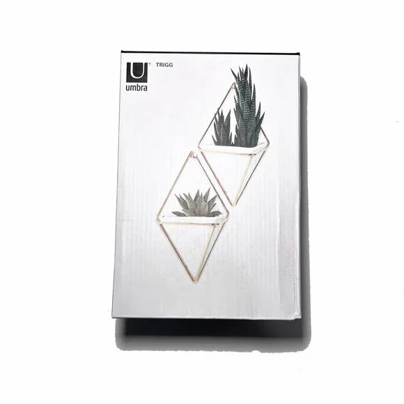 Umbra Trigg Small Wall Display