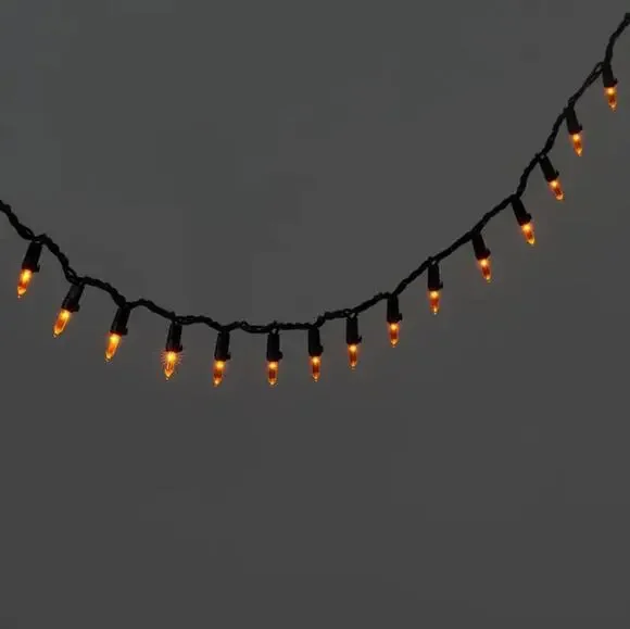 Hyde and Eek Mini LED Orange String Lights NEW