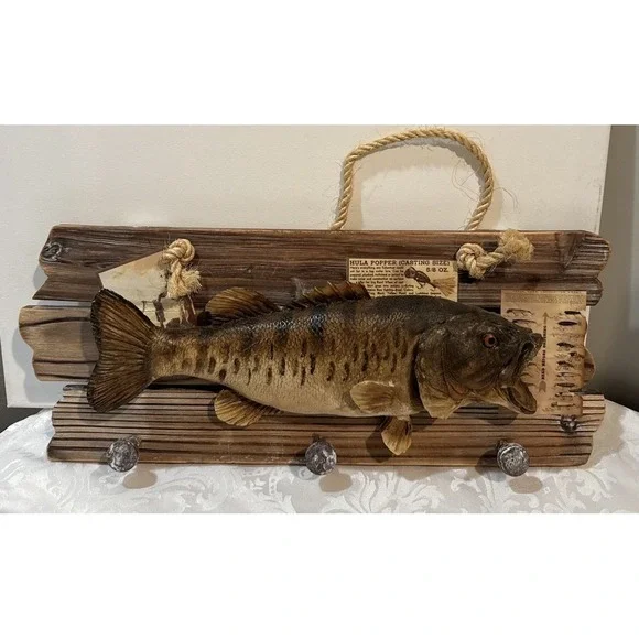 Mount of a smallmouth bass (Micropterus‎ dolomieu) Wood Base coat Hanger