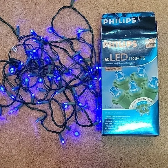 PHILIPS 60 LED Indoor/Outdoor Light Set - Dome Blue