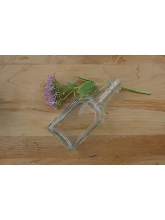 Simple Vintage Clear Glass Bottle / Flower Vase