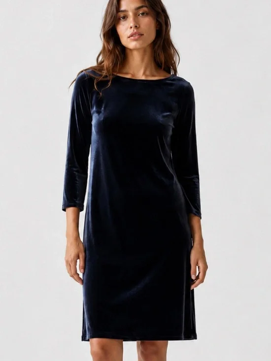 NWT J. Crew Velvet Long Sleeve Dress in Blue