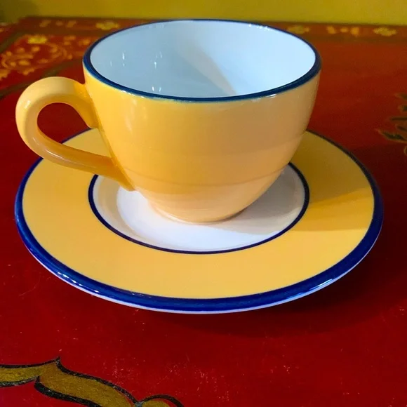One set of PAGNOSSIN Treviso Orange Spa Teacup with saucer, crate & barrel