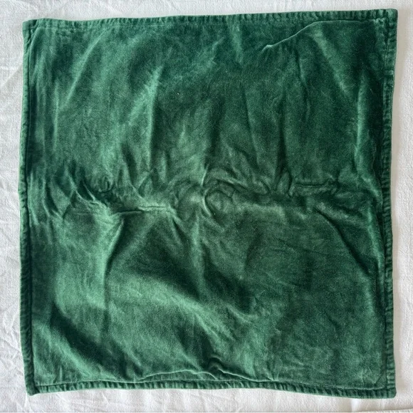 Crate & Barrel Green Organic Washed Cotton Velvet Throw Pillow Cover 20