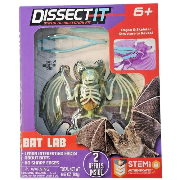 Dissect It Synthetic Dissection Kit - Bat Lab‎