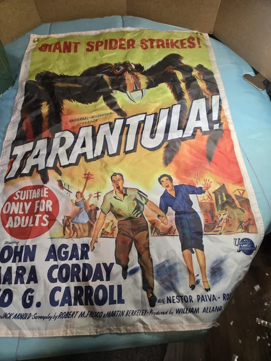 1955 