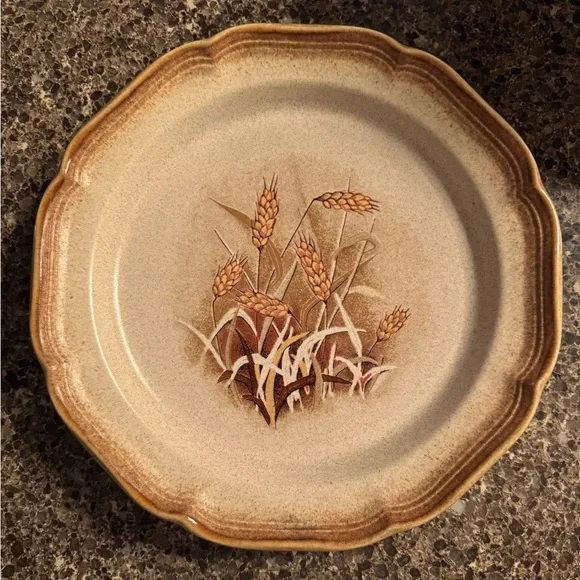 [MIKASA] (1) Dinner Plate: Mikasa Whole Wheat E8001