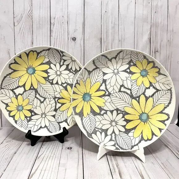 Vintage MCM Boho Nikko Splendor Daisy Plates Kingstone Japan Cottagecore (2)